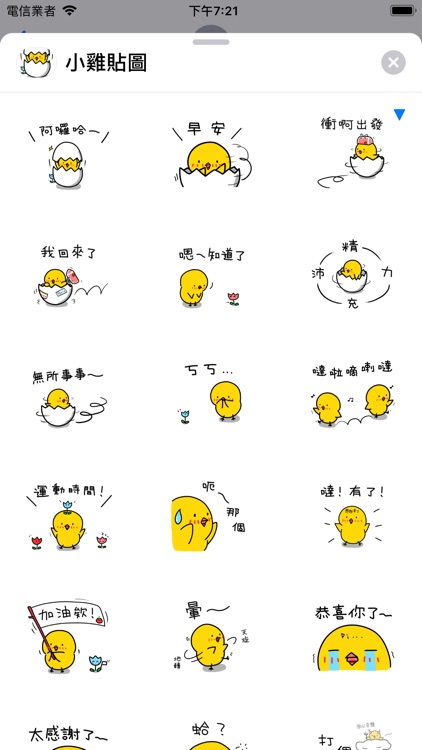 Chick ZH-hant Sticker