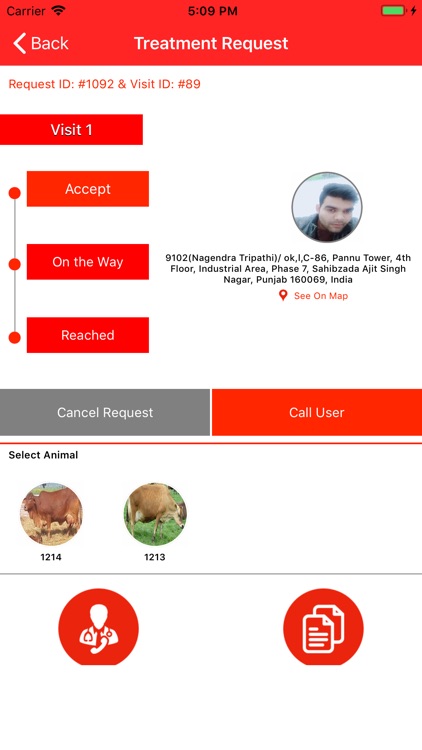Paravets screenshot-5