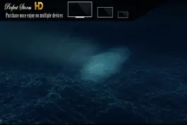 Game screenshot Perfect Storm HD apk