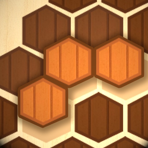 Wooden Hexa Puzzle Icon