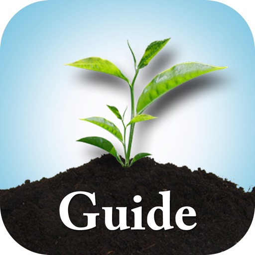 Tree Plant Garden Answers Identification icon