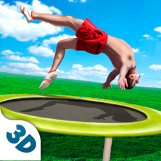 Activities of Flip Jumping World Tournament