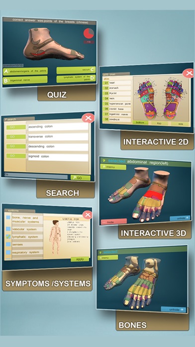 Screenshot #2 pour Total Reflexology-3D