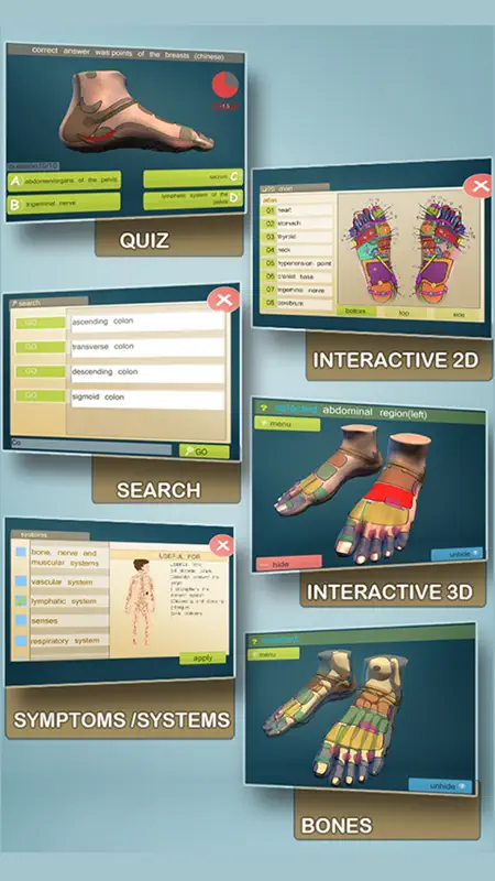 Total Reflexology-3D screenshot 2 of 5