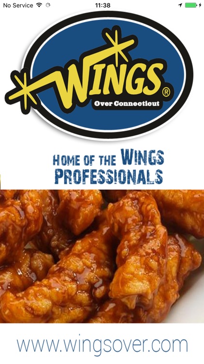 Wings Over Connecticut