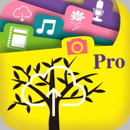 FilesOnTree Pro - Tree File Explorer