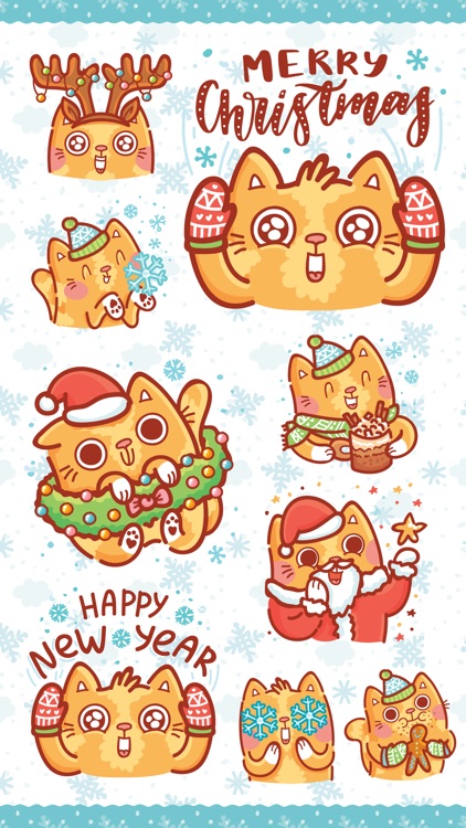 Festive Cat!