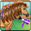 Horse Hair Salon