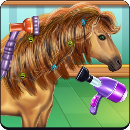 Horse Hair Salon