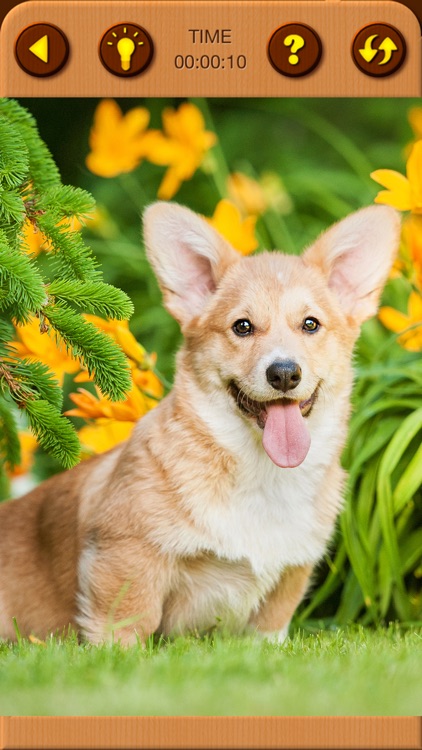 Cute Puppy Jigsaw Puzzle Games screenshot-7