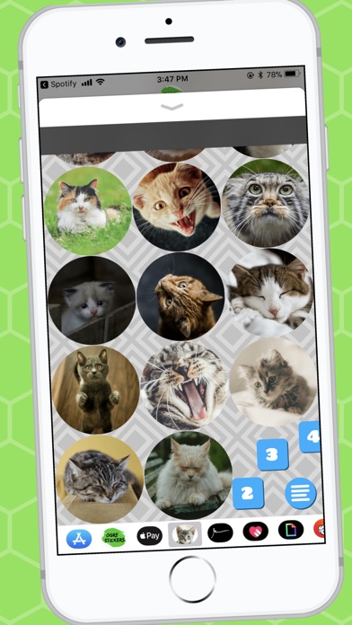 Lovable Cat Stickers screenshot 2