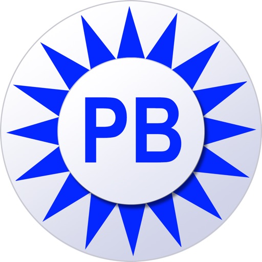 PaddleBallX icon