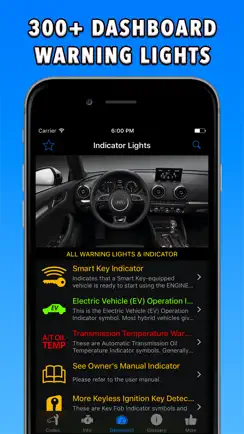 OBD-2 Audi iPhone image 2