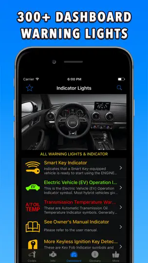 Скриншот OBD-2 Audi на iPhone 2