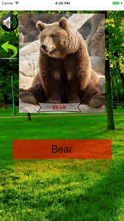 اسماء و اصوات الحيوانات