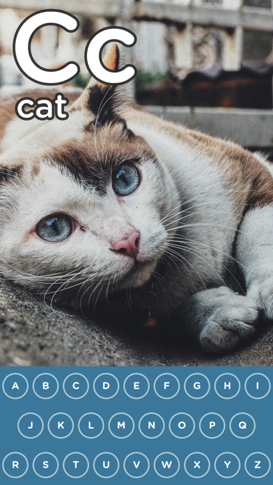 ABC Touch Lite app screenshot 3