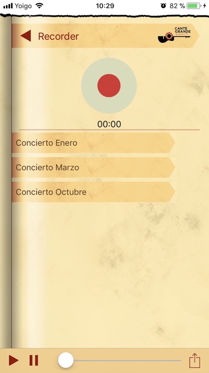 Flamenco Cante Grande screenshot-4