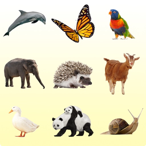 Animal Sounds and Photos iOS App