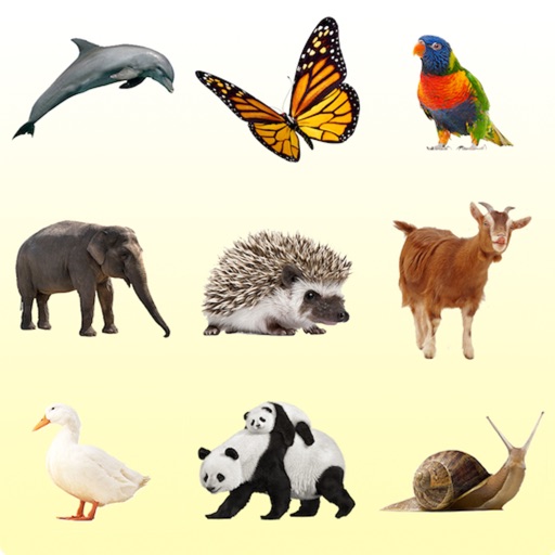 Animal Sounds and Photos