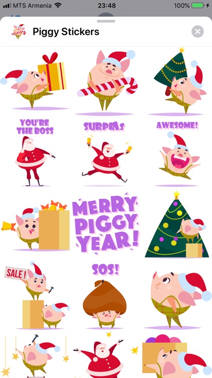 Christmas 2019 Piggy New Year