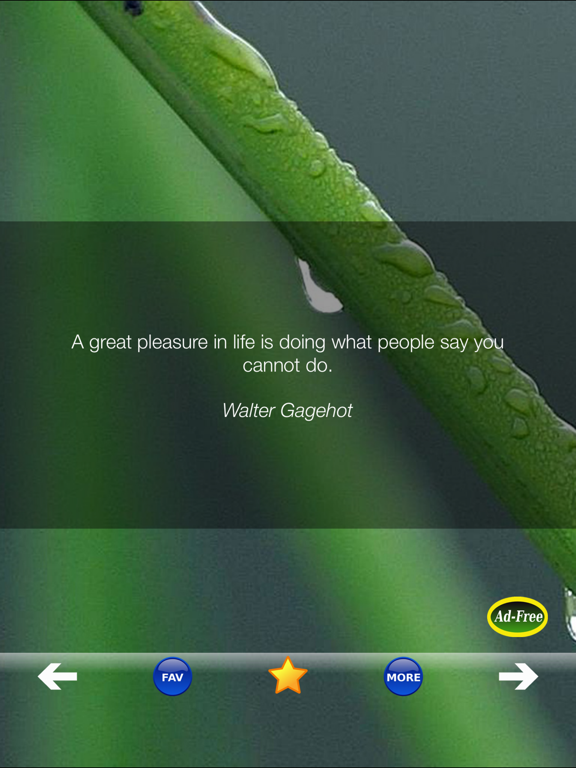 Screenshot #6 pour Self Help Improvement Quotes!