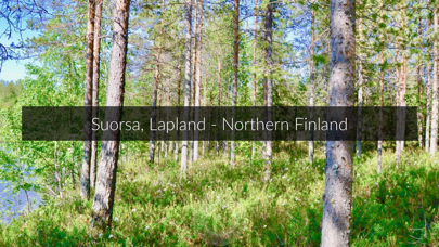 Screenshot #3 pour Walk In Finland