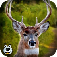 Deer Hunting in Forest – Play Big Buck Shooting Safari Fun Game