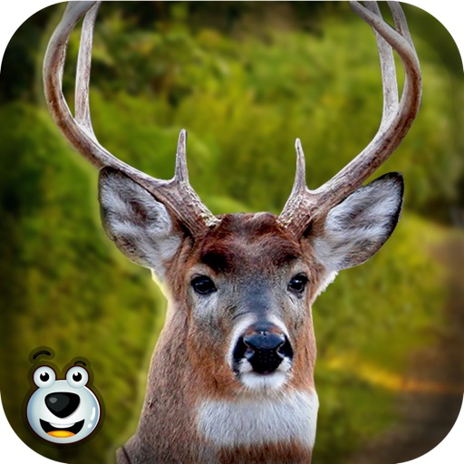 Deer Hunting in Forest – Play Big Buck Shooting Safari Fun Game iOS App