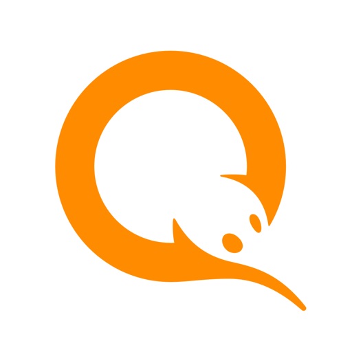 Кошелек QIWI - перевод денег