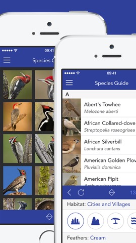 iKnow Birds LITE - USAのおすすめ画像2