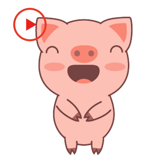 Pig Animated Lovely Stickers icon