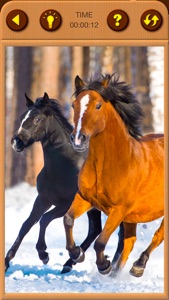 Horses Jigsaw Puzzles for Kids screenshot #6 for iPhone