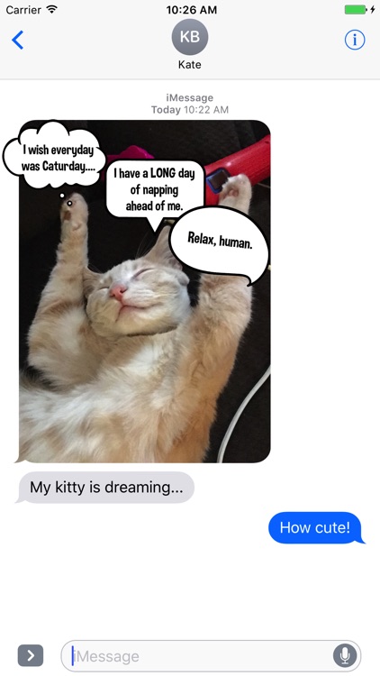 Kitty Thoughts Sticker Pack Lite