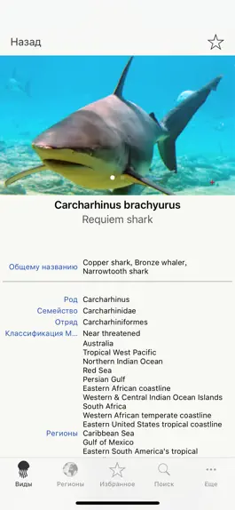 Game screenshot Sharks & Rays, by Reef Life apk