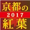 ぶらぶら京都　京都の紅葉