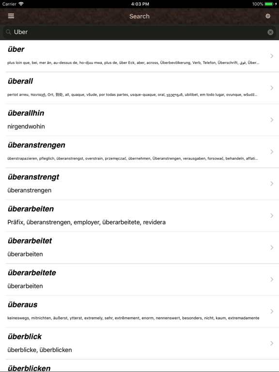 Deutsch Wörterbuch iPad screenshot 2 - Education app