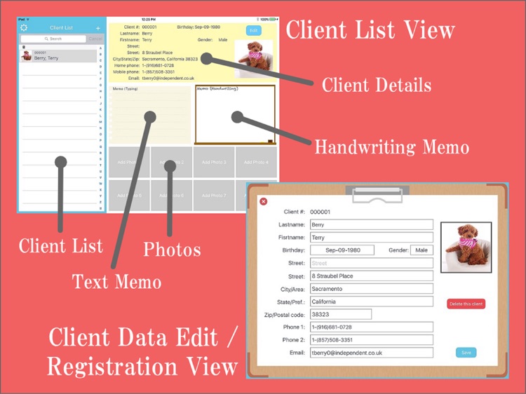 TOWHEE - Scalp Camera