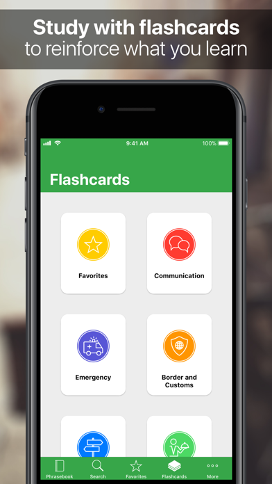 SpeakEasy Italian ~ Offline Phrasebook and Flashcards with Native Speaker Voice and Phonetics Screenshot 3