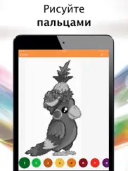 Раскраска по номерам + айпад изображения 2