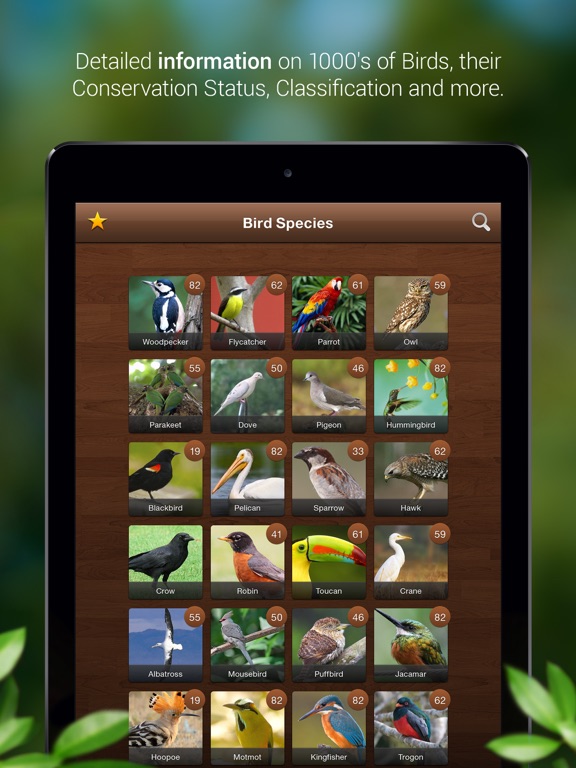 Screenshot #6 pour Bird Songs - Bird Call & Guide