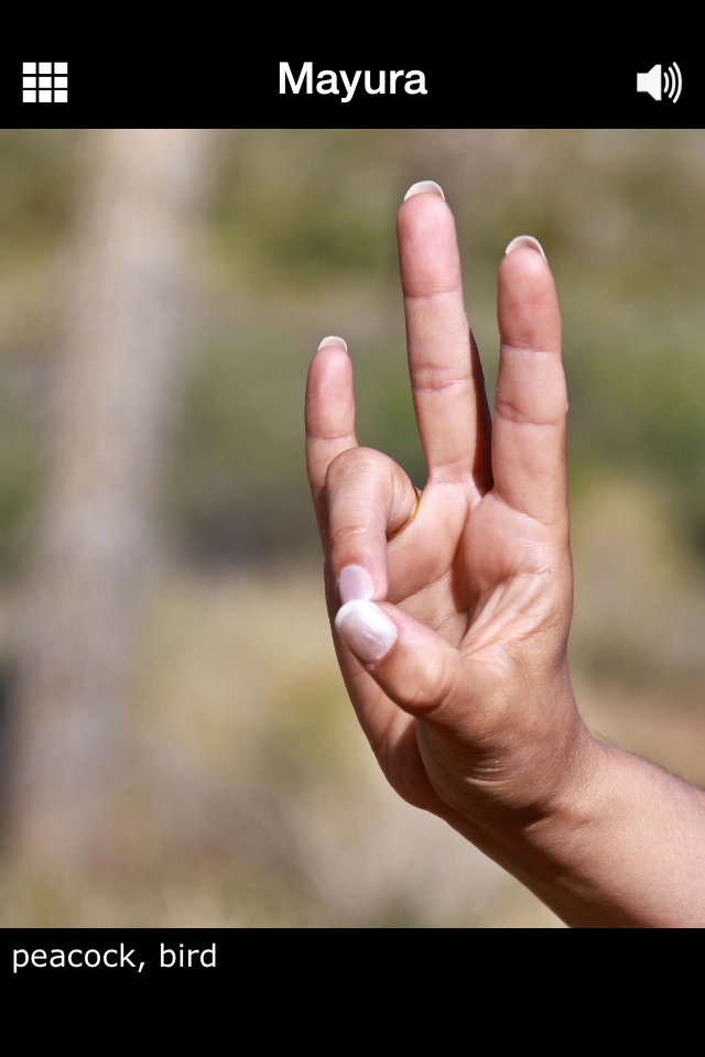 Dancing Mudras screenshot 3