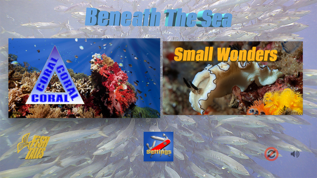 Beneath The Sea 4K