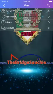the bridge iphone screenshot 4