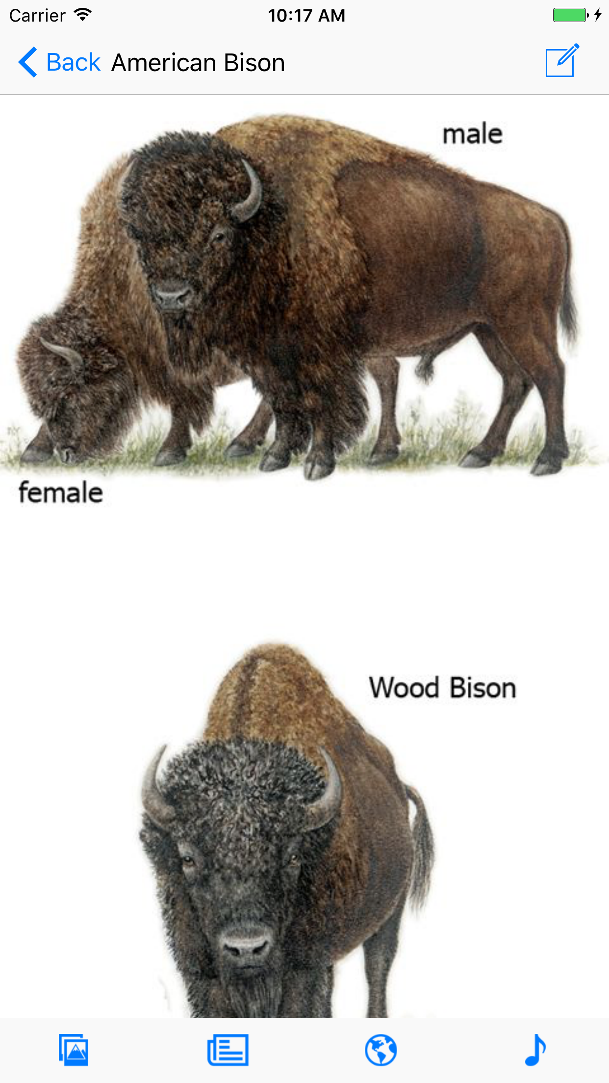 Mammals of North America LITE