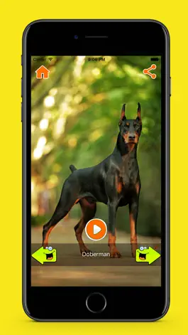 Game screenshot Best Dog Sounds apk