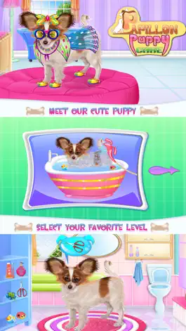 Game screenshot Papillon Puppy Day Care mod apk