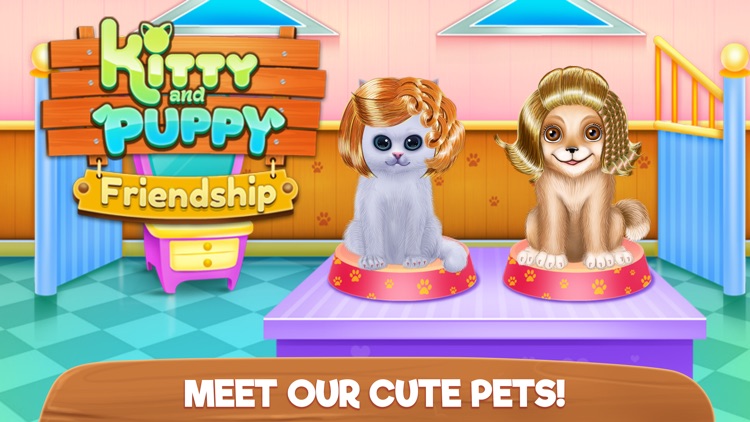 Kitty and Puppy Friendship