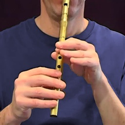 Tin Whistle Pro