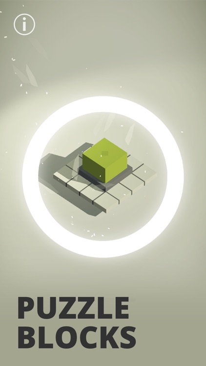 Puzzle & Blocks screenshot-0