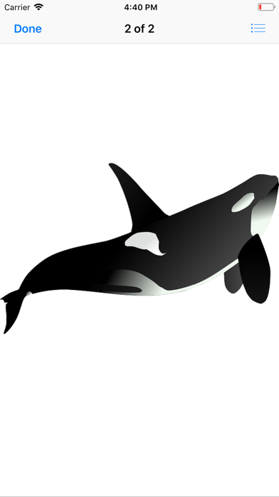 Real Whale Stickers screenshot 3